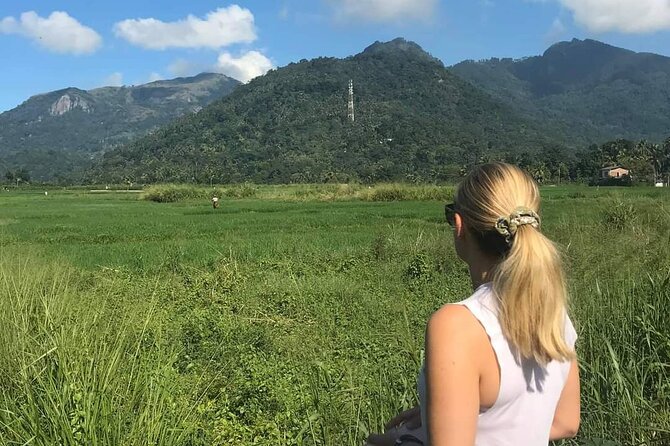Day tour to Sigiriya & Dambulla from Kandy - The true price of the day