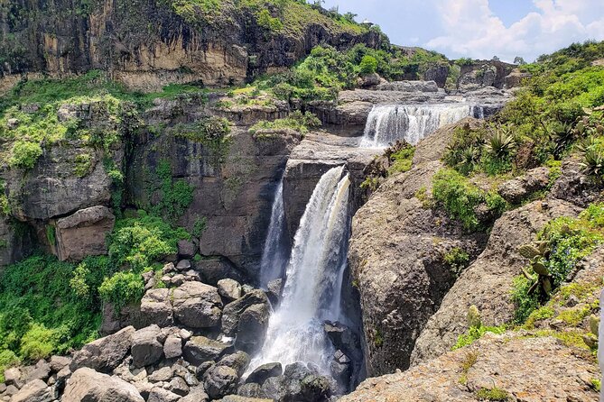 Day Trip From Addis Ababa See Historical Monastery,Stunning Nature,Animals,Birds - What $90 gets you
