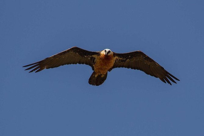 Day Trip From Addis Ababa See Historical Monastery,Stunning Nature,Animals,Birds - Practical advice for a better day