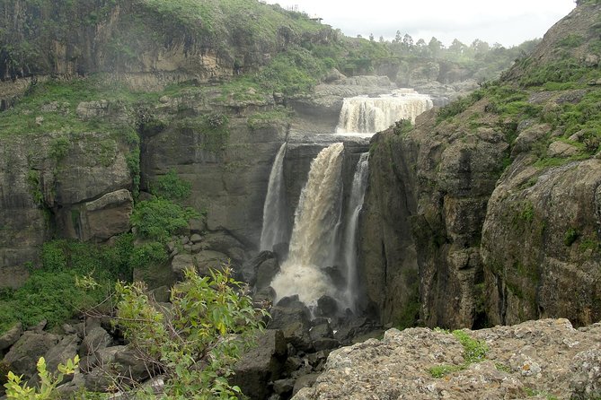 Day Trip From Addis Ababa See Historical Monastery,Stunning Nature,Animals,Birds - Walking toward the Portuguese Bridge