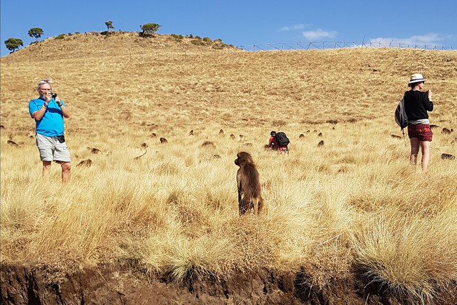 Debre Libanos Monastery and Jemma River Gorge - Day Tour from Addis Ababa - Is $272.77 good value for a private group?