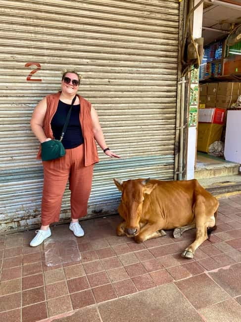 Delhi: Old Delhi's Street Food, Temples & Spice Market Tour - Key points to know before you book