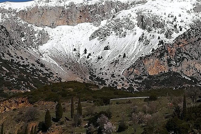 Delphi Full Day Private Tour: Temple of Apollo, Museum, Navel of Earth & Oracle - Coffee in Arachova