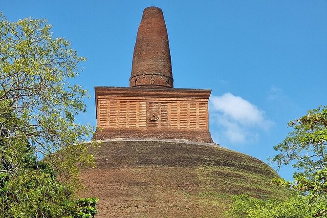 Delve Into Ancient Anuradhapura with Optional Visit to Mihintale - The Sri Maha Bodhi Tree brings the sacred center into view