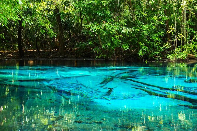 Discover Krabi - Emerald Pool, Hot Springs & Tiger Cave Temple - Key points to know before booking