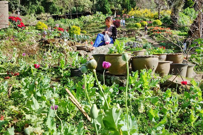 Doi Suthep and Hmong Hilltribe Half Day Tour in Chiang Mai - Booking, cancellation, and small practical details