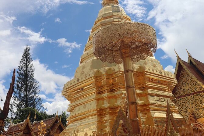 Doi Suthep Temple, Pha Lat Temple, Sticky Waterfall, Orchid farm - Who should book this experience?