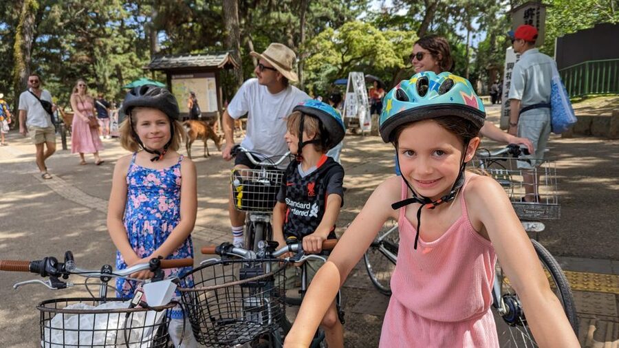 E-Bike Nara Highlights - Todaiji, Knives, Deer, Shrine - Meeting Nara’s deer in the right way