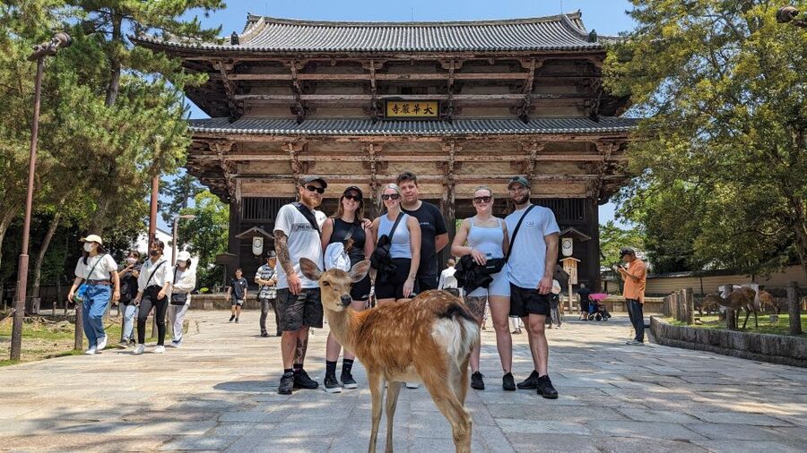 E-Bike Nara Highlights - Todaiji, Knives, Deer, Shrine - Nandaimon Gate and the scale of Todaiji