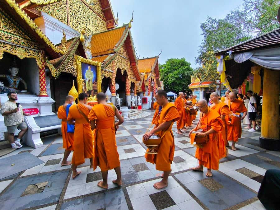 Early morning Doi Suthep with monk chanting and alms - Chanting in the quiet morning temple