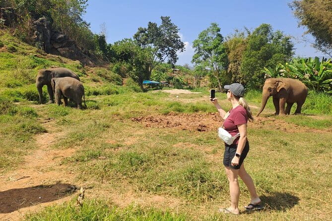 Elephant Sanctuary, Wat Ban Den & Sticky Waterfall - My call on the Chiang Mai combination tour