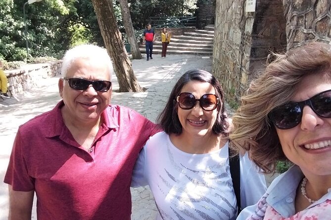 Ephesus Temple of Artemis and House of Mary Private Half Day Tour - The Temple of Artemis in a short, revealing stop