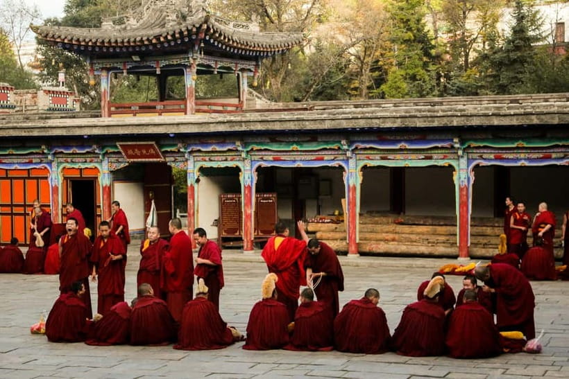 Explore Dharamshala's monasteries for Tibetan spirituality - Key points to know before you book