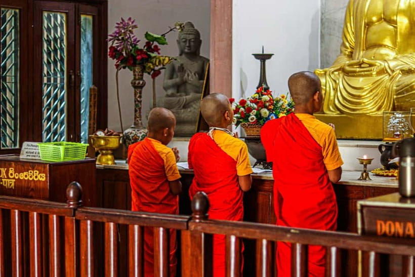 Explore Dharamshala's monasteries for Tibetan spirituality - Dolmaling Nunnery and women’s monastic life