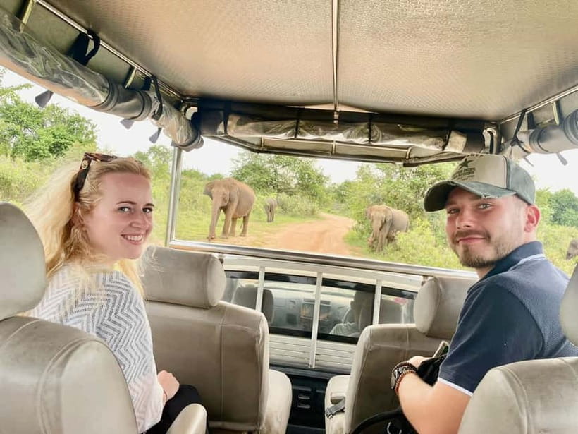 From Anuradhapura: Wilpattu National park Safari - What the $65 price really covers