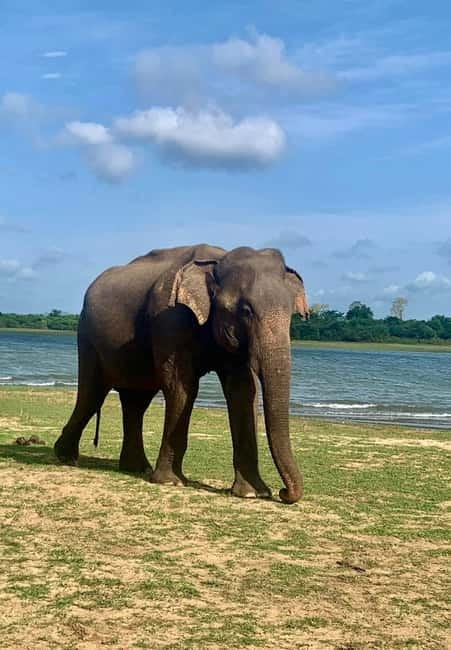 From Anuradhapura: Wilpattu National park Safari - The one-hour road from Anuradhapura to the park
