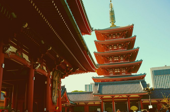 From Asakusa: Old Tokyo, Temples, Gardens and Pop Culture - Walking pace, trains, and what to bring