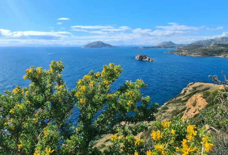 From Athens: Temple of Poseidon & Cape Sounion Half-Day Tour - Why Cape Sounion makes a good Athens half-day trip