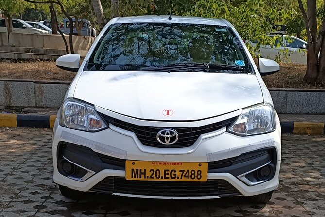 From Aurangabad: 1-Day Taxi Trip to Ajanta and Ellora Caves - Local guides or time on your own