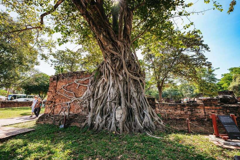 From Bangkok: Ayutthaya Temples Guided Tour with Lunch - Getting there from Bangkok