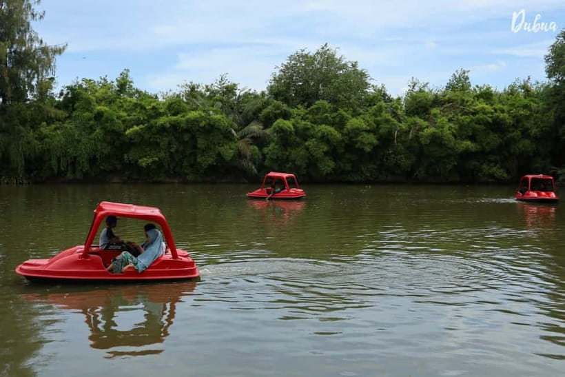 From Bangkok: Don Wai Market, Wat Samphran & Lotus Café Tour - Du Bua Cafe and the lotus ponds