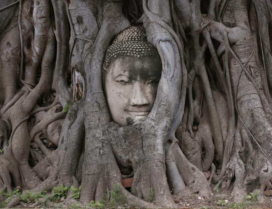From Bangkok: Private Guided Tour of Ayutthaya’s 6 Temples - Why this Ayutthaya route works from Bangkok