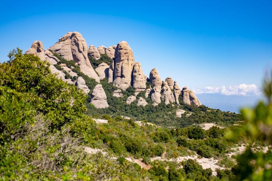 From Barcelona: Montserrat Monastery, Easy Hike, Cable Car - Exploring the monastery and 15th-century cloister