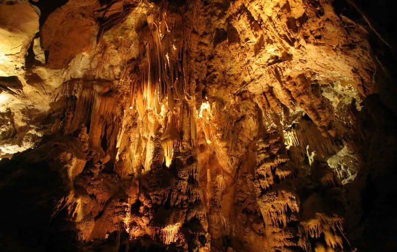 From Belgrade: Manasija Monastery and Resava Cave Tour - Resava Cave, Serbia’s underground highlight