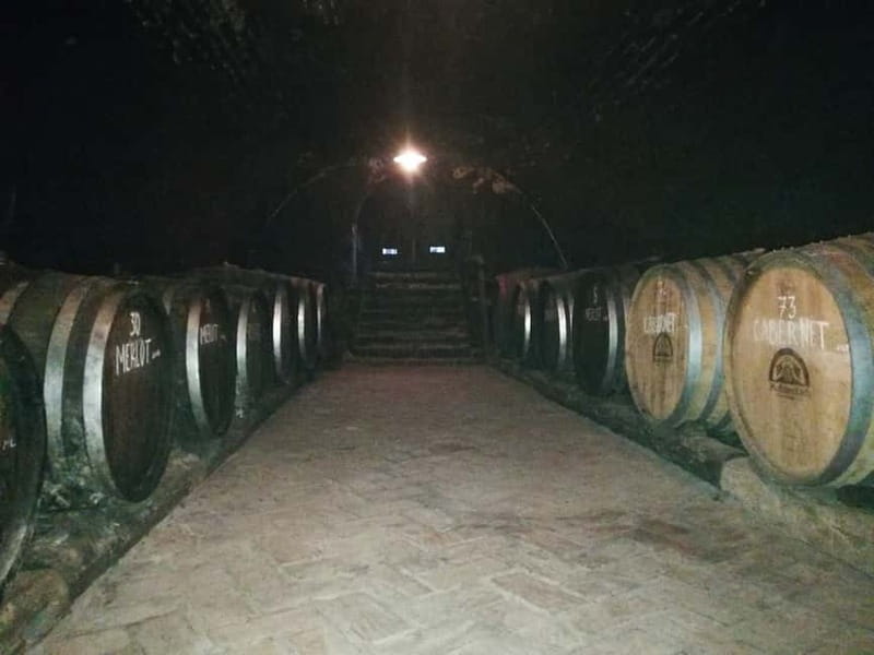 From Belgrade: Novi Sad & Fruska gora & winery and monastery - Petrovaradin Fortress above the Danube