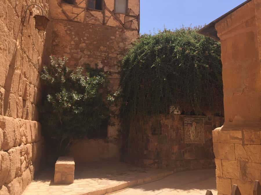 From Cairo: Overnight Trip to Saint Catherine Monastery - Safety, support, and the human side of the trip