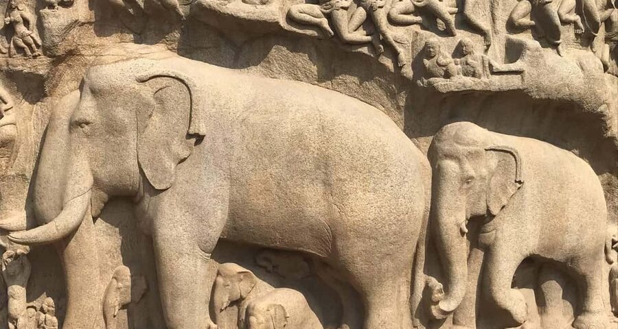 From Chennai: Private Kanchipuram and Mahabalipuram Day Tour - Varadharaja Perumal Temple and a second religious tradition