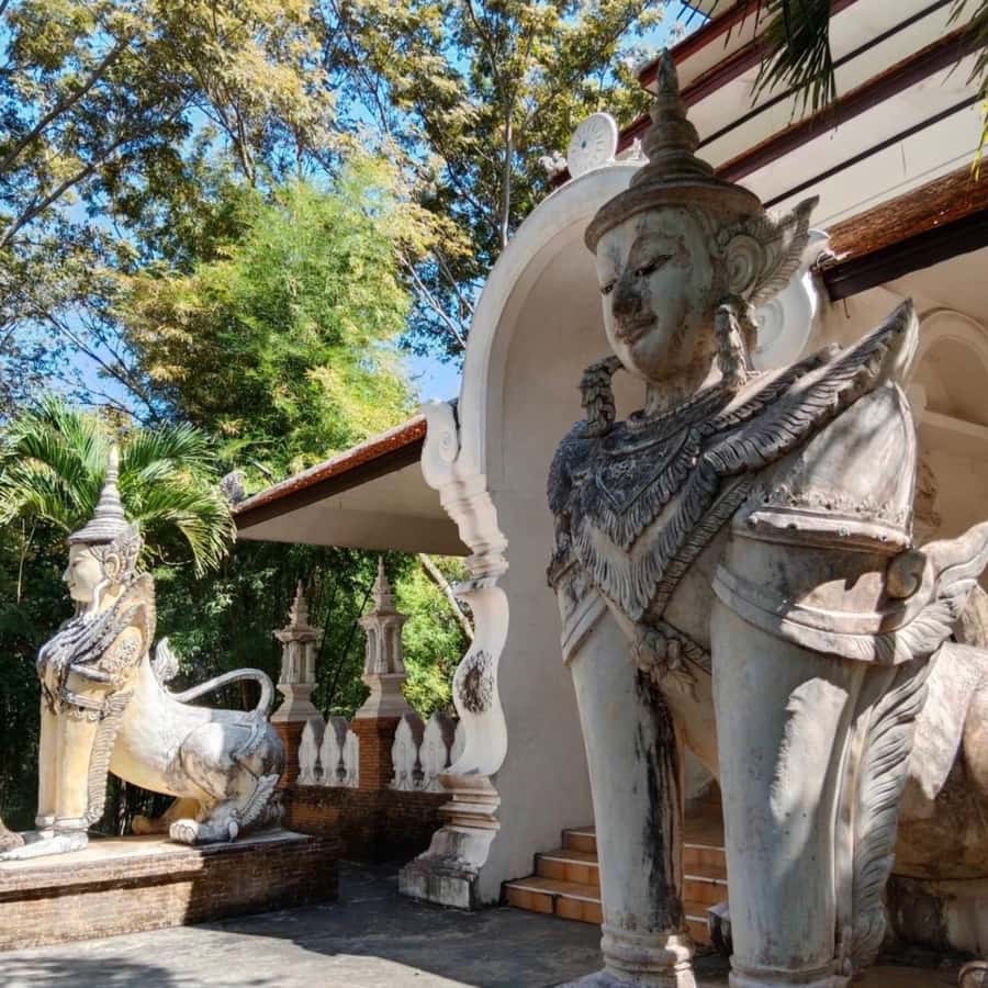 From Chiang Mai: Temples, Sticky Waterfall, and Orchid Farm - Transport, group size, and the day’s pace