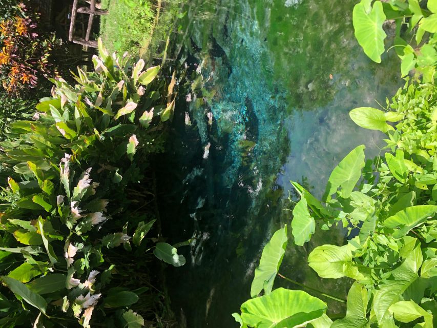 From Chiang Mai: Temples, Sticky Waterfall, and Orchid Farm - What to pack and how to dress