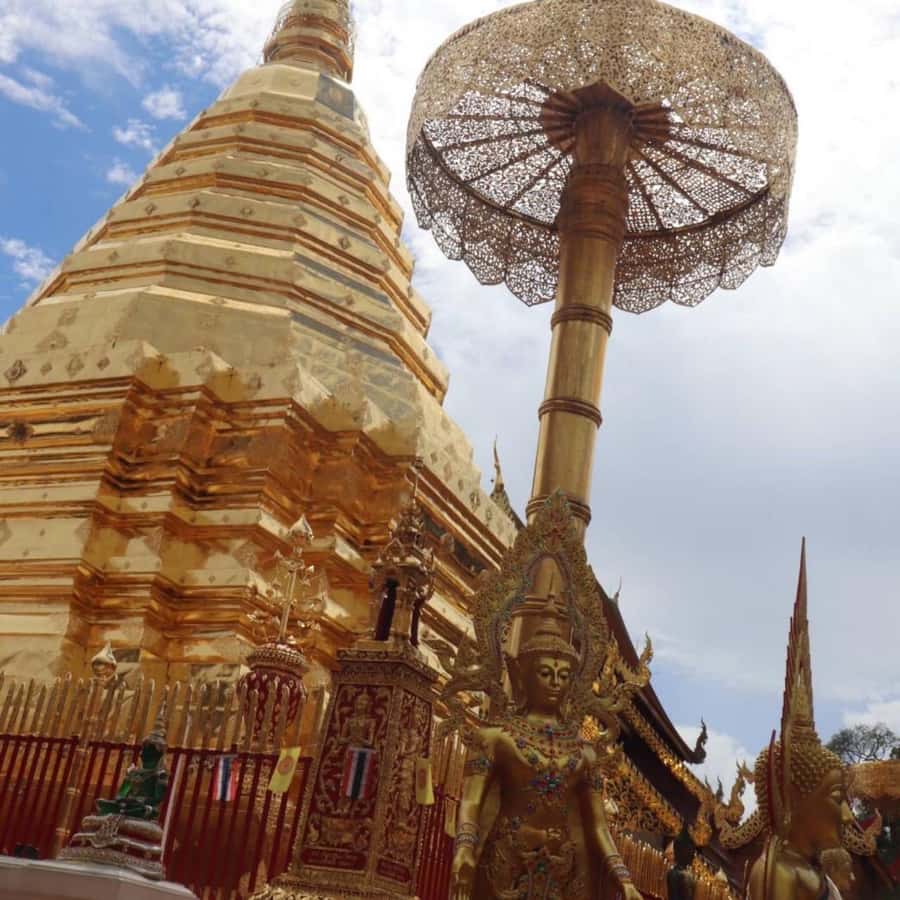 From Chiang Mai: Temples, Sticky Waterfall, and Orchid Farm - Is the $80 price fair?