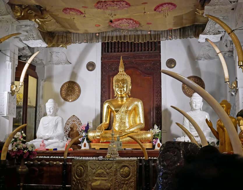 From Colombo: Kandy Temple of Tooth & Elephant Orphanage - What the $62 Price Really Buys