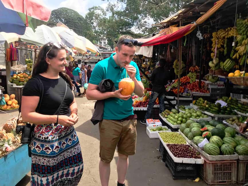 From Colombo: Kandy Temple of Tooth & Elephant Orphanage - Who Should Book This Day Trip?