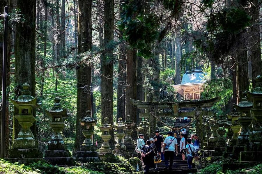 From Fukuoka: Miyazaki, Takachiho Gorge and Shrines Day Tour - Key points at a glance