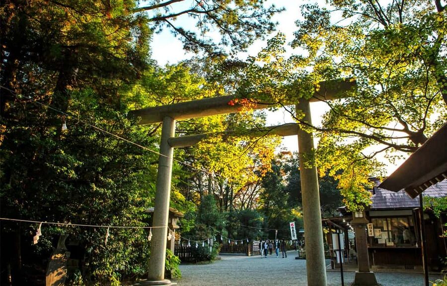 From Fukuoka: Miyazaki, Takachiho Gorge and Shrines Day Tour - Amano Yasugawara and the wish towers