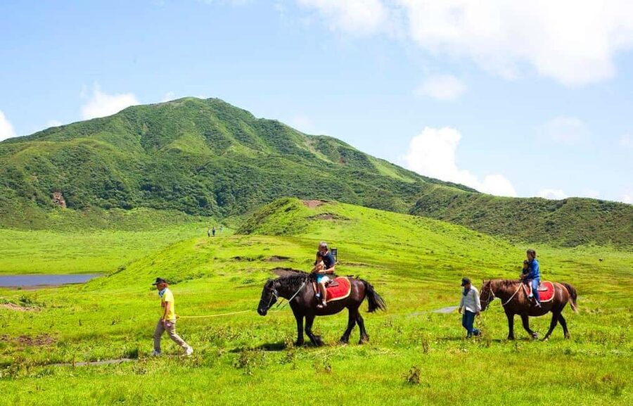 From Fukuoka: Mount Aso, Kurokawa Onsen, and Shrine Tour - Who will like this tour most?