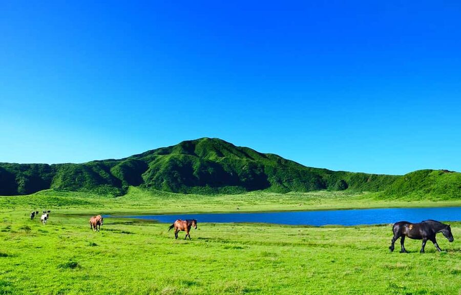 From Fukuoka: Mount Aso, Kurokawa Onsen, and Shrine Tour - Kusasenri gives you room to breathe