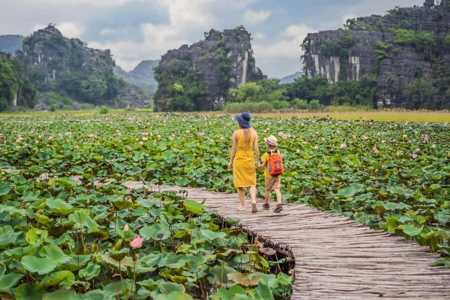 From Hanoi: Trang An Eco-tourism & Bai Dinh pagoda full day - Mua Cave and the climb to Ngoa Long Mountain