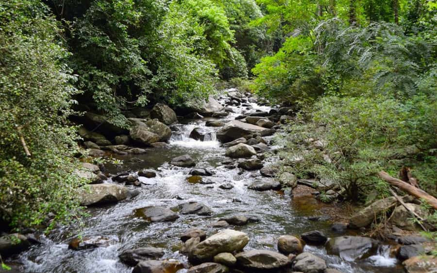 From Hua Hin: Pala U Waterfall and Huay Mongkol Temple Tour - Why Pala U Waterfall is worth the drive from Hua Hin