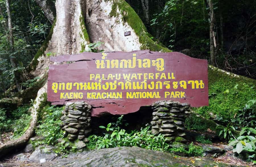 From Hua Hin: Pala U Waterfall and Huay Mongkol Temple Tour - Huay Mongkol Temple and the giant Luang Pho Thuat