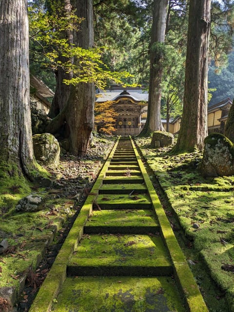 From Kanazawa: Eiheiji Buddhist Temple & Fukui Castle Town - Dinosaur Square and Fukui’s first welcome