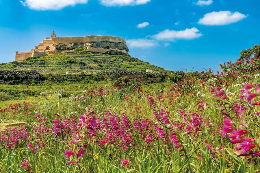 From Malta: Gozo Day Trip Including Ggantija Temples - Victoria’s Citadel and the climb above Rabat