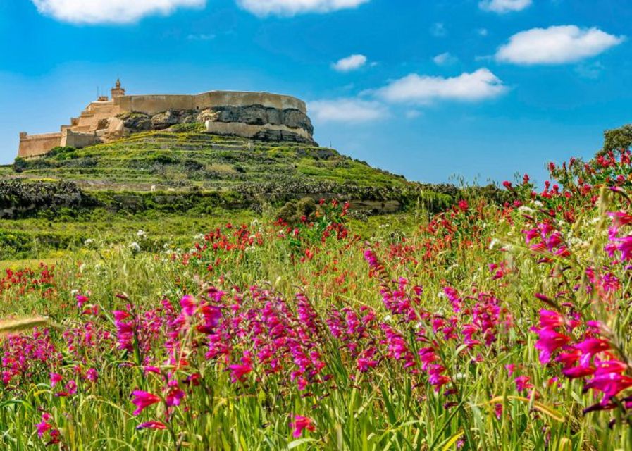 From Malta: Gozo Full-Day Tour with Guide, Temples, & Train - Crossing from Malta to Gozo