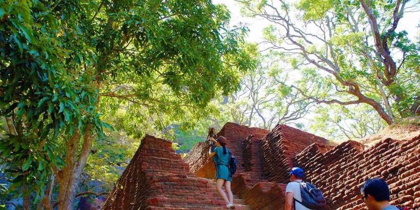 From Negombo: Sigiriya and Dambulla Day Trip and Safari - Why this long day works from Negombo