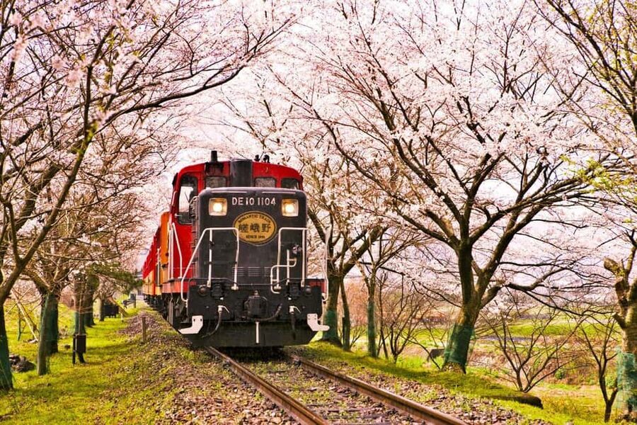 From Osaka: Kyoto, Nara, Fushimi Inari & Arashiyama Day Tour - Key points to know before booking