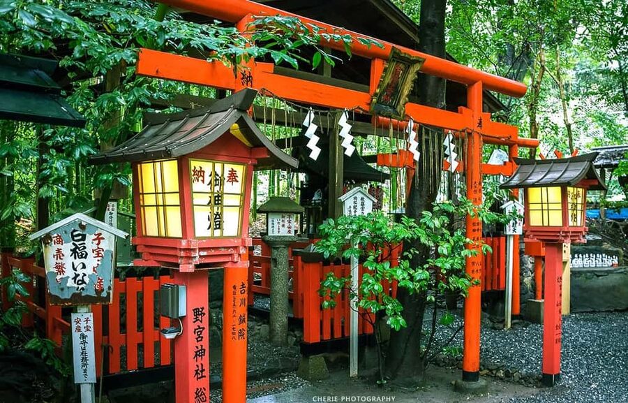 From Osaka: Kyoto, Nara, Fushimi Inari & Arashiyama Day Tour - Nara Park and its free-roaming deer
