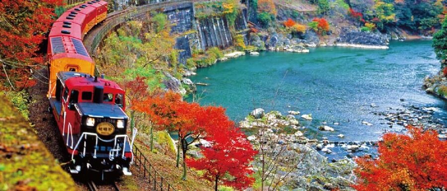 From Osaka: Kyoto, Nara, Fushimi Inari & Arashiyama Day Tour - Arashiyama gives you the afternoon